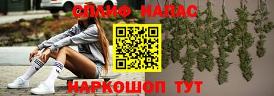 молекула духа Камень-на-Оби