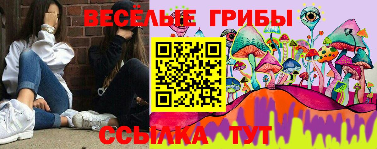 Псилоцибиновые грибы мухоморы Астрахань